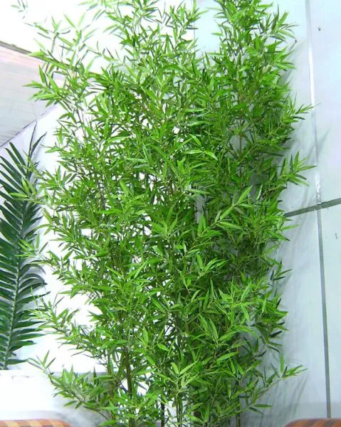 东莞市雅菲 仿真竹子厂家直销