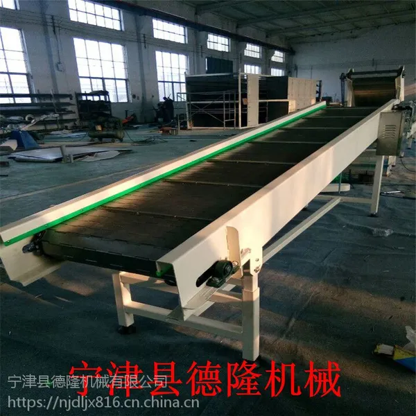 德隆非标定做不锈钢冲孔链板输送机水平传送带自动化链板输送机