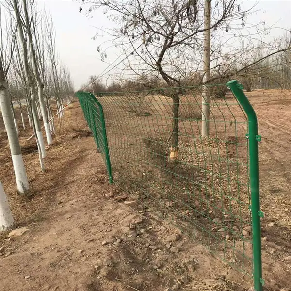 围栏网大庆绿化围栏铁丝网片@金属隔离栅栏绿色荷兰网