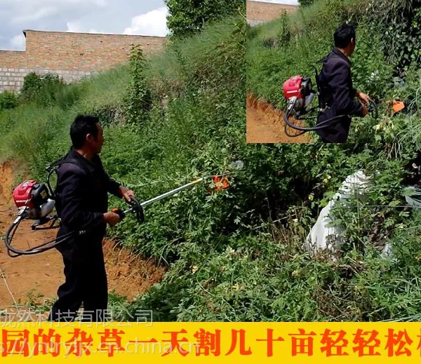 割草松土机 背负式多功能锄草机 背式除草松土机