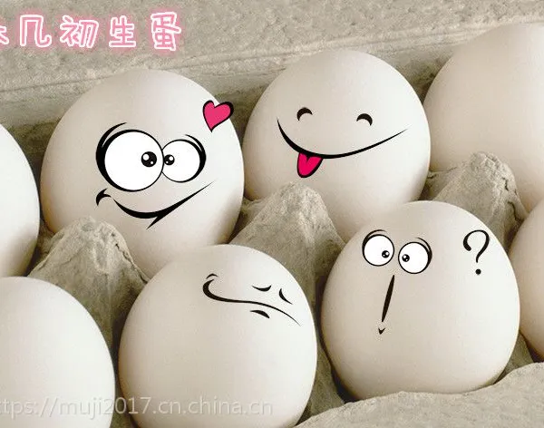 ľ��«����������̬ũ�����񼦵��ݼ���ũ����������30ö������������ɢ������