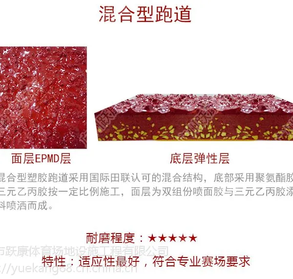 山东混合型学校运动场材料 全国塑胶跑道行业领先企业 安排专业施工队