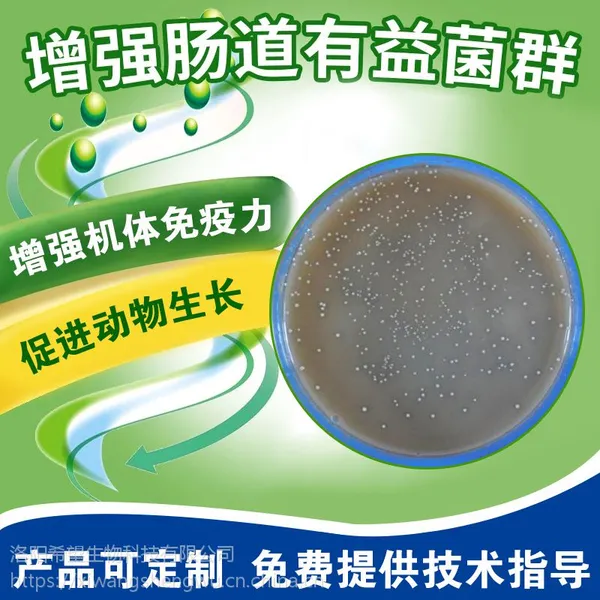 希望生物 水产EM菌 调整水质专用菌种