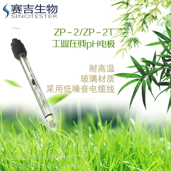 ZP-2 工业在线pH计电极耐高温
