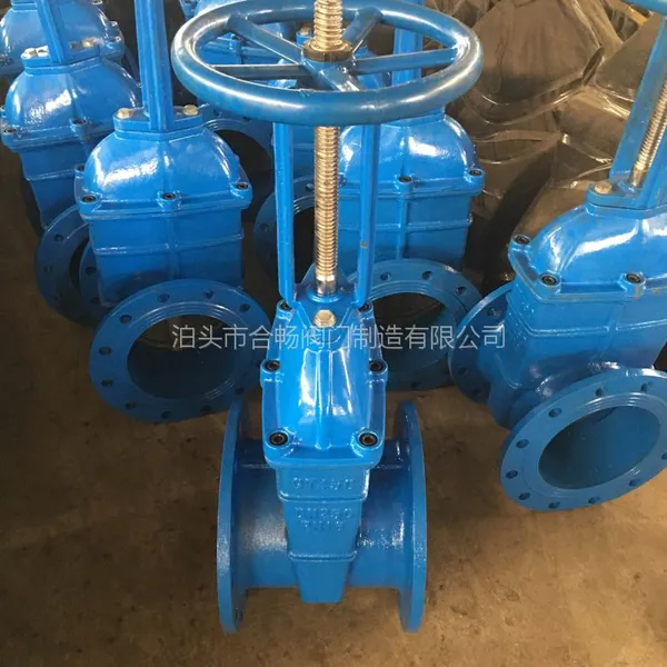 RRHX/Z41X 大体明杆软密封闸阀 DN250-DN500 球墨铸铁 量大价优
