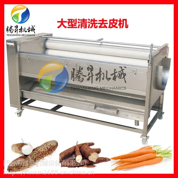 全不锈钢蔬果类毛刷清洗脱皮机 土豆去皮机 腾昇厂家直销