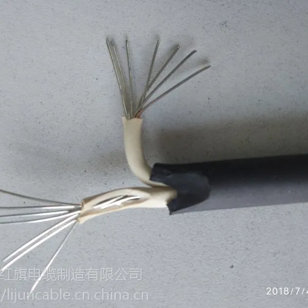 CCS证书船用综合电力电缆CEF 2*4,,红旗电缆