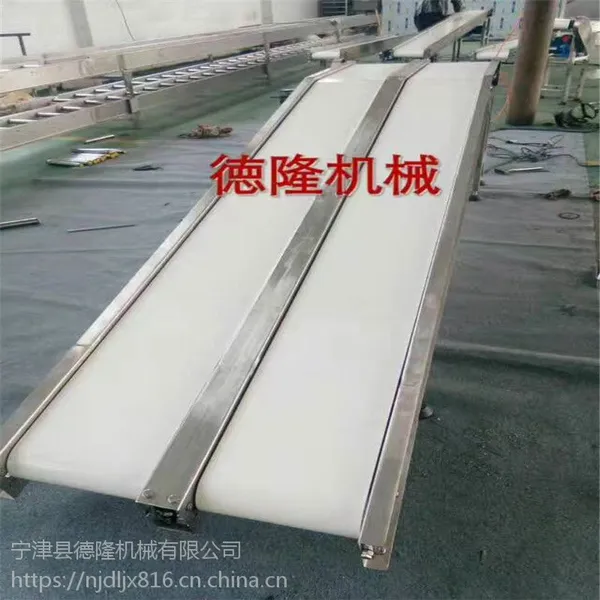 宁津德隆定做食品流水线输送机 白色PU皮带传送带