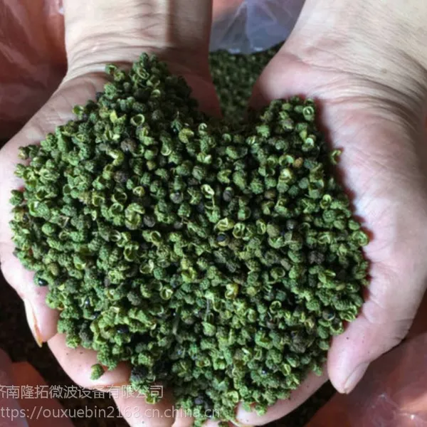 供应大豆熟化杂粮熟化燕麦熟化干燥杀菌设备