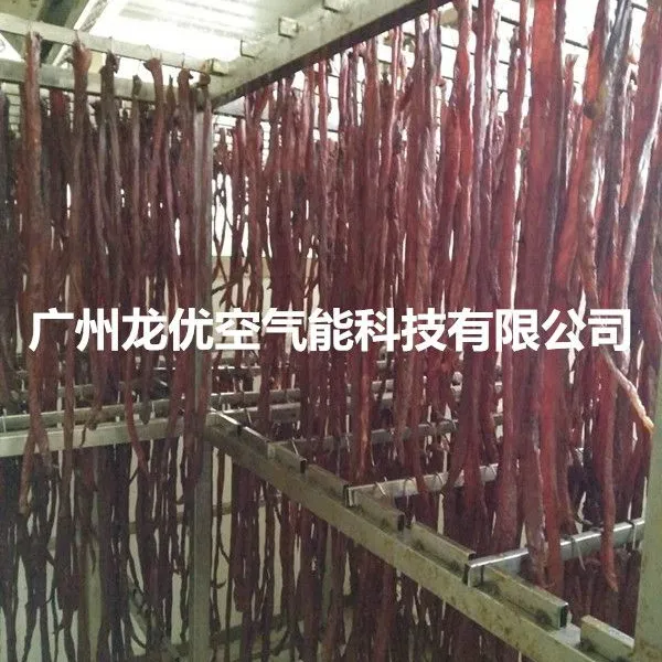 龙优牛肉烘干机设备 空气能牦牛肉烘干机