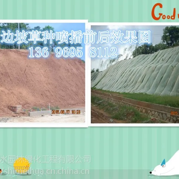 �����粥�����ִ��***�����������������ٶȿ�