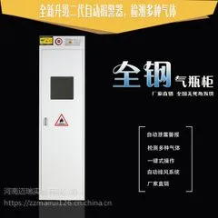 全钢单瓶气瓶柜工业气瓶柜双瓶智能探测报警单瓶气体存储柜