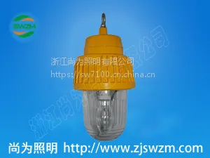 SW8310防爆平台灯_尚为SW8310照明灯具70/100/150W