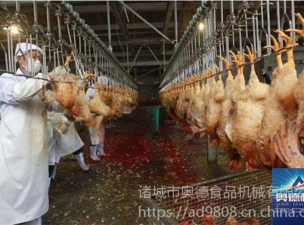 石家庄蛋鸡专用屠宰流水线 家禽自动屠宰设备厂家定制
