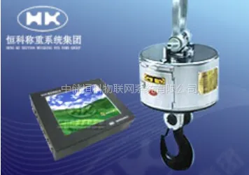 恒科ORS高精度电子吊秤