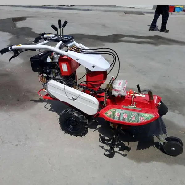 �ַ�ʽ������������ ����С�����Ϳ��������� ������¢����������