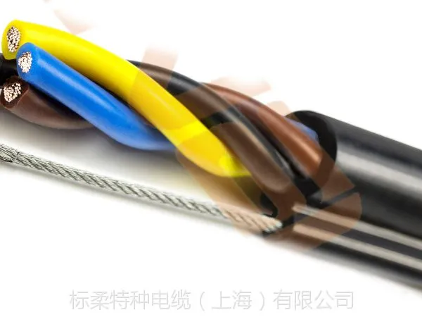 PENDANT CABLE电动葫芦电缆lift-1s