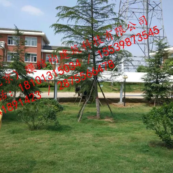 ����������Ĥ�ṹ���� ͣ���� ���г������˹PVDF