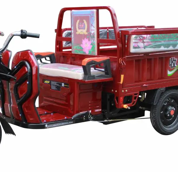 丰收干电三轮电动车,家用休闲电动三轮车,客货两用电瓶三轮车,60km,400kg