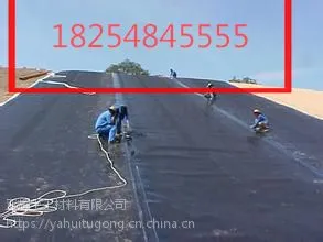 厂家直销质优价廉土工膜