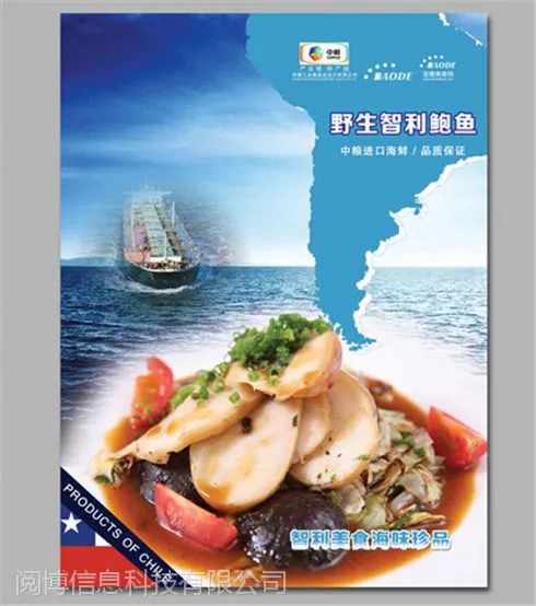 湖州宣传彩页设计制作 公司产品彩页 湖州DM彩页印刷价格