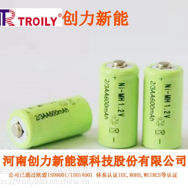 TROILY/创力 剃须刀专用电池2/3AA600