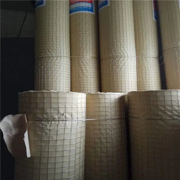��п�纸�� ����Ĩǽ�� ����������
