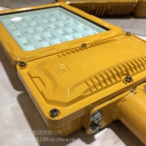GCD816 LED防爆路灯100w 防爆路灯图片
