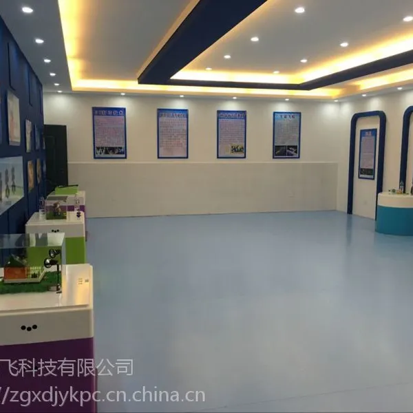 师大教育SDJY 小型科技馆少年宫设备 科学探究实验室科技馆科普展品 科技创新展品虚拟与现实技术