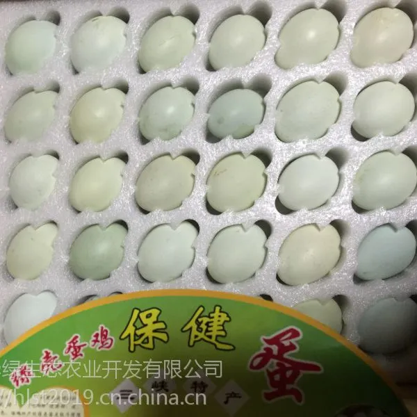 高产黑羽绿壳蛋鸡 高产麻羽绿壳蛋鸡 五黑一绿绿壳蛋鸡种蛋 湖北华绿生态农业