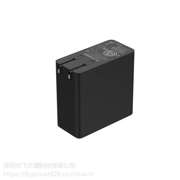 深圳飞天鹰电源适配器厂家-电源适配器PS45B