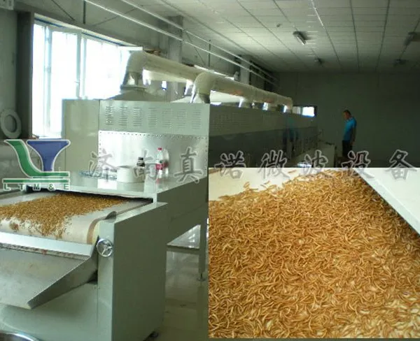 黄粉虫微波干燥设备|隧道式12kw-200kw微波粗饲料烘干设备