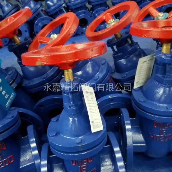 Z45T-10 ��ˮբ�� DN50 DN65 Шʽ��������բ�� �㽭���ط���