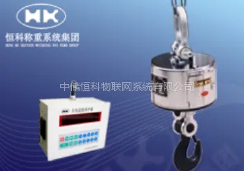 恒科ORS系列超限与安保型电子吊秤