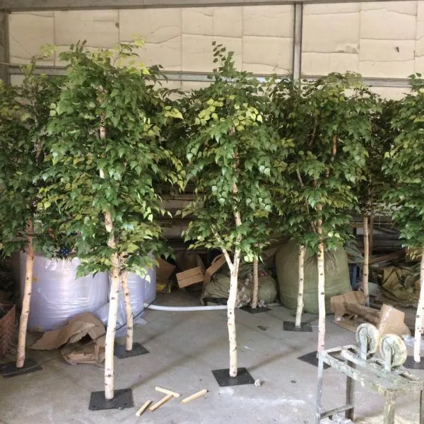 雅菲仿真白桦树 厂家直销 效果逼真 造型尺寸可定制