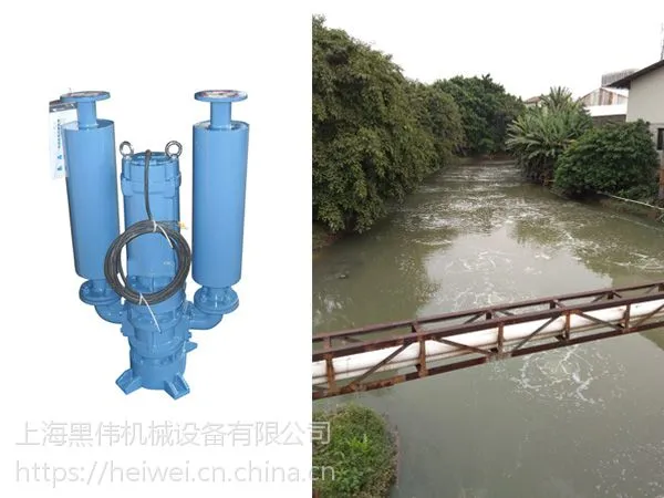 “***”之水是生命的源泉 ——黑伟水污染治理沉水风机行动