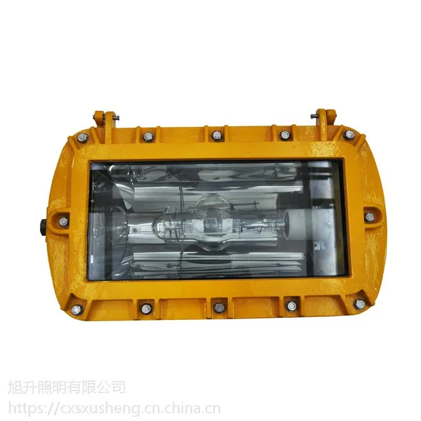 外场防爆强光泛光灯,250W/400W高效金卤灯照明防爆灯,可旋转防爆照明灯