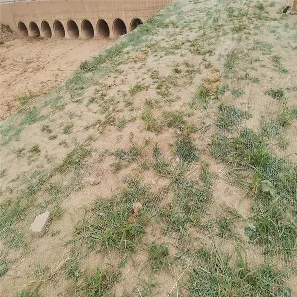 ��ȼú���������ƴ�ӷ��������ң��̲��ֳ�������