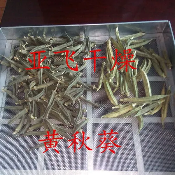 CT-C-I型箱式烘干机 中草药烘干热风循环烘箱