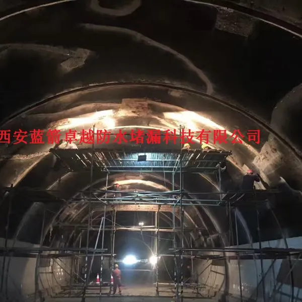 陕西安隧道防水堵漏公司-专业承接西安地下室防水堵漏-西安隧道防水堵漏工程