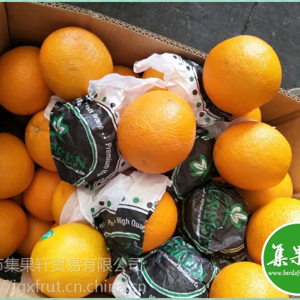 新鲜水果批发埃及进口夏橙Valencia供应广州江南市场
