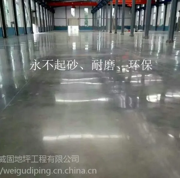 �н��麣�������ɰ��ҵ����ĥ�׹�+רҵ�������Ӳ��������