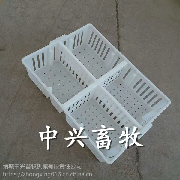 鸭苗周转箱 小鸭运输筐 四格鸭苗箱批发厂家