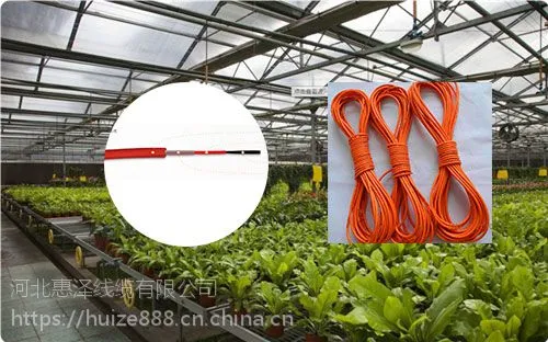 大棚用发热电缆-惠泽蔬菜大棚电采暖碳纤维发热线缆厂家