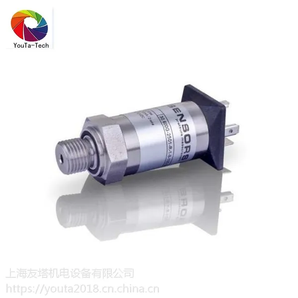 �¹���ҵѹ��������30.600G BDSENSORS �¹�����