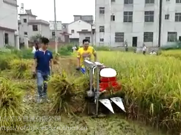 手扶单行自走式小型玉米收割机 皇竹草收割机