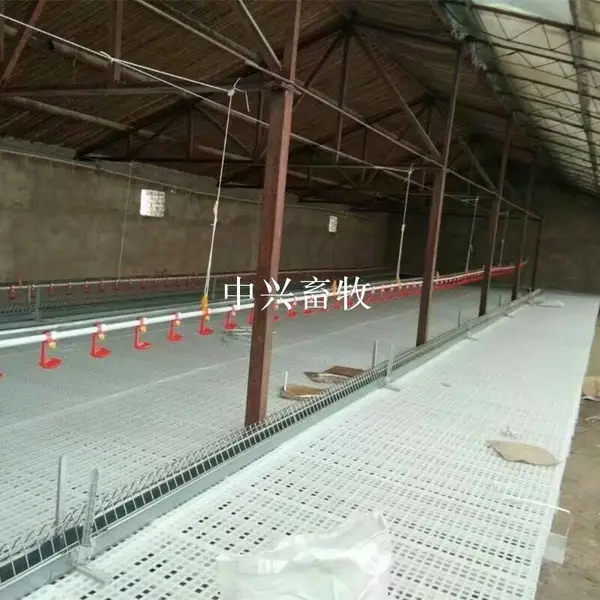 福德中兴禽用漏粪板 养殖鸡鸭鹅专用塑料漏粪板 塑料漏粪地板厂家