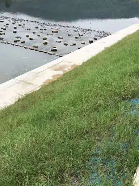 �����ֵ���̬��,�ӵ�ˮ������޸�ֲ���� ����ֲ��̺ Ҭ˿̺ �����̻���̬̺