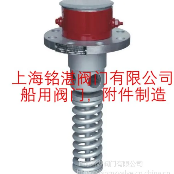 铭湛船用液化气储罐内装式安全阀