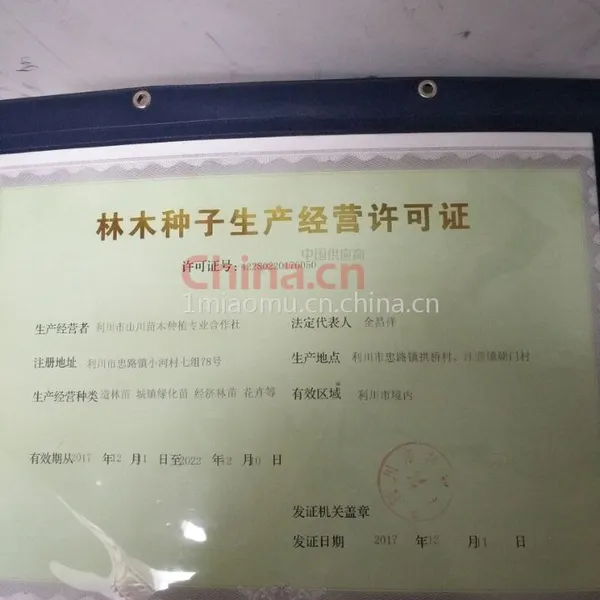 林木种子生产经营许可证